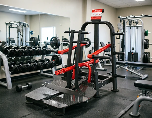 Belt SquatHardcore LowerBody Workout high quality